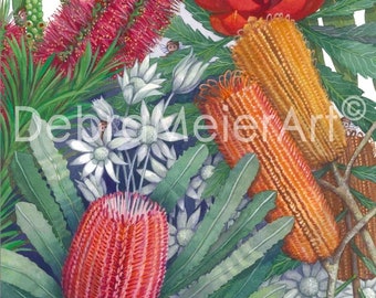 Australian Native Flowers by Debra Meier Art, Flower Wall Art, Bushflowers Print, Artwork gift