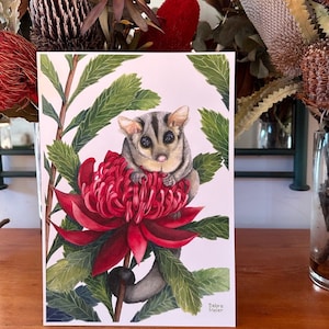 Sugar Glider on red Waratah print by Debra Meier Art, Australian native marsupial watercolour, Animal art, Artwork gift image 9
