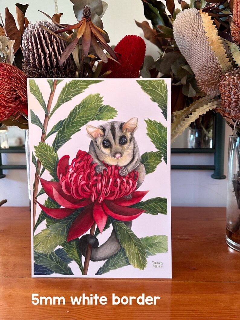 Sugar Glider on red Waratah print by Debra Meier Art, Australian native marsupial watercolour, Animal art, Artwork gift image 9