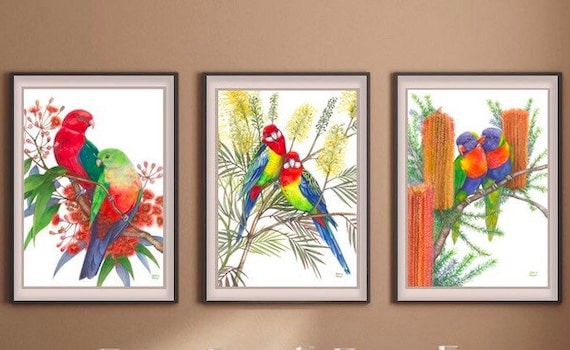 Lovebird Parrot Pairs Trio by Debra Meier Art,australian Native