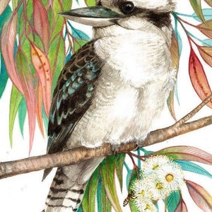 Kookaburra by Debra Meier Art,  Native bird watercolour, Australian bird print, Gumleaves print, Artwork gift