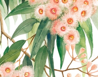 May include: Watercolor painting of a branch of a eucalyptus tree with pink flowers and green leaves. The artist's signature, "Debra Meier", is in the bottom right corner.