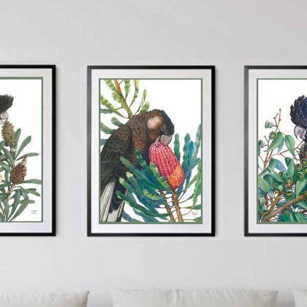 Black Cockatoo Bird Etsy