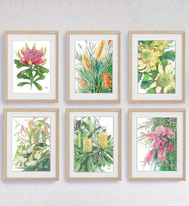 Australian Native Flowers prints Set of six prints Set of 6 Etsy