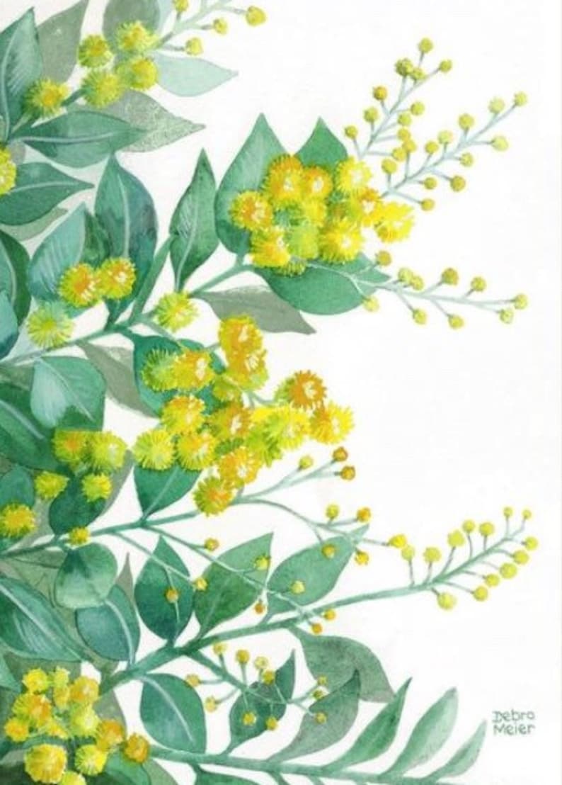 Australian Wattle Wattle Wall Art Australian Native Art Etsy Australia
