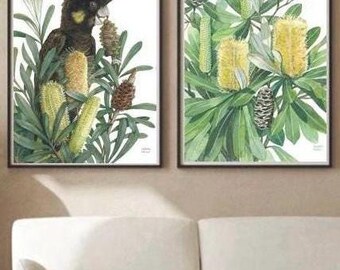 Cockatoo Black Yellow Tail and Coastal Banksia by Debra Meier Art, Australian native bird print, Coastal Banksia Watercolour, Artwork gift