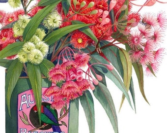 Red,Pink and White Gumblossoms in Vintage Tin by Debra Meier Art, Flowering gum art, Gumnuts watercolour print, Gumleaf print, Artwork gift