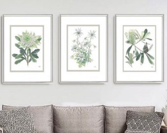 Australian Natives White on White series by Debra Meier Art, Flannel Flower, White Waratah, Banksia, Australian native art, Artwork gift