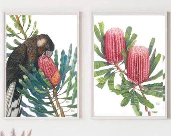 May include: Two framed prints, one featuring a black and white cockatoo bird perched on a branch with pink and green flowers, and the other featuring a branch with two pink flowers.