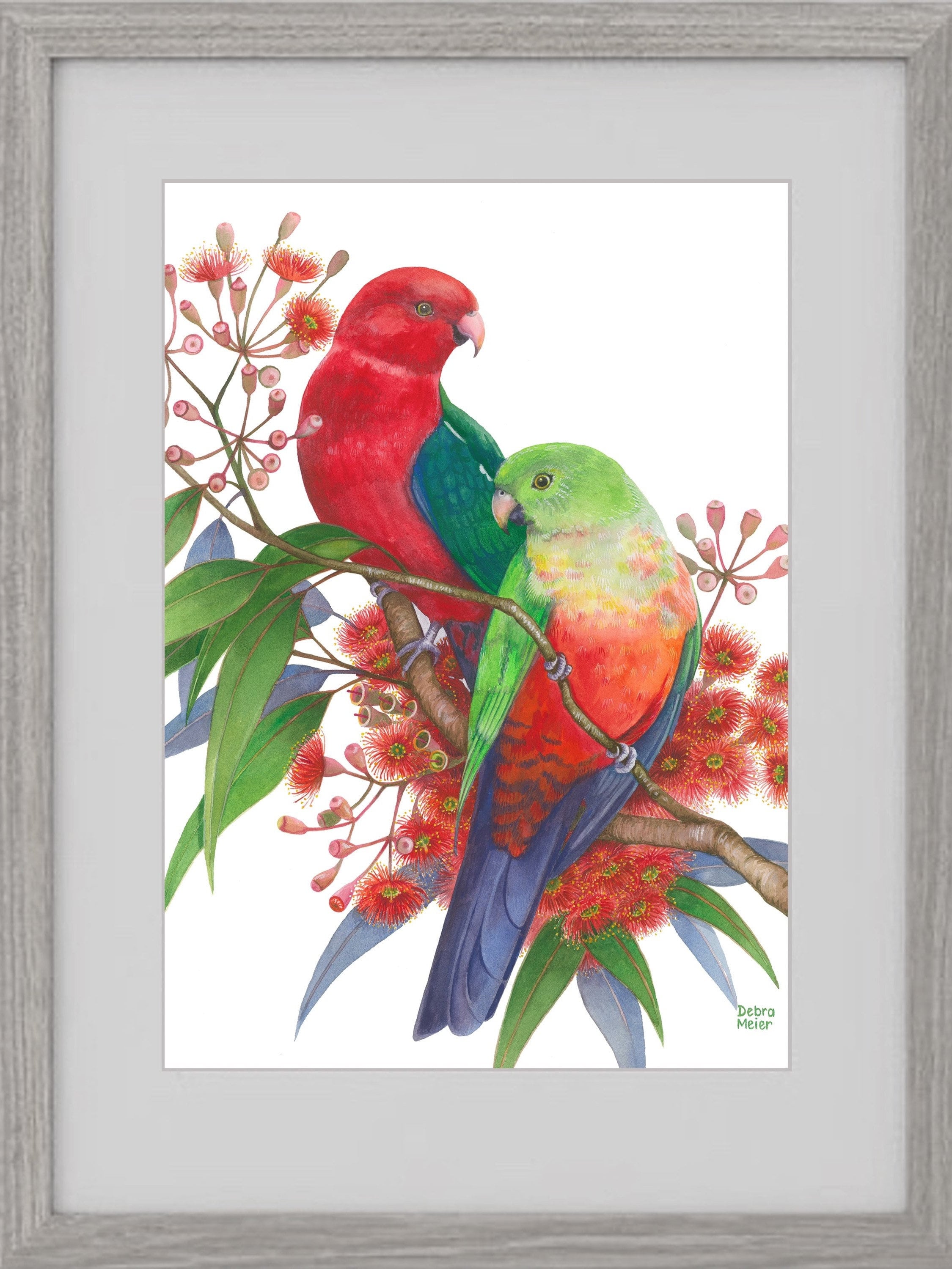 Buy Parrot King Pair by Debra Meier Art, Australian Native Bird