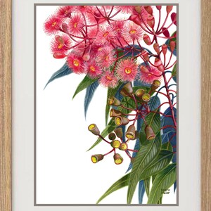 May include: A framed watercolour painting of pink flowers with green leaves. The flowers are in bloom and have a delicate, feminine appearance. The painting is signed "Debra Meier" in the bottom right corner.