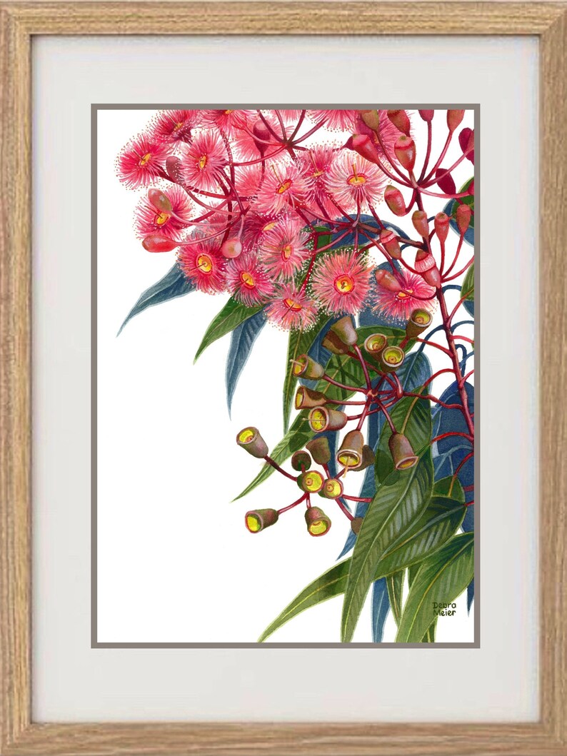May include: A framed watercolour painting of pink flowers with green leaves. The flowers are in bloom and have a delicate, feminine appearance. The painting is signed "Debra Meier" in the bottom right corner.