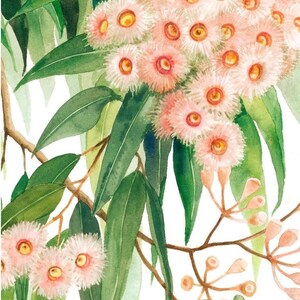 May include: Watercolor painting of a eucalyptus branch with pink flowers and green leaves. The artist's signature, "Debra Meier", is in the bottom right corner.
