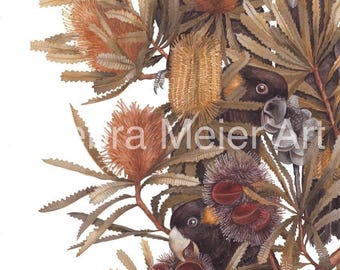 May include: A watercolor painting of four black cockatoos perched in a tree with brown and orange flowers. The birds are black with yellow accents and are looking at the viewer. The flowers are in bloom and have a variety of shapes and sizes.