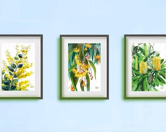 Yellow Native Flower Trio by Debra Meier Art, Australian native flowers, Triple set print, Watercolour flower art, Artwork gift