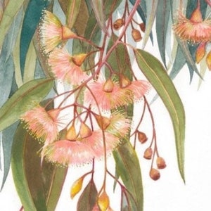 May include: Watercolor painting of a eucalyptus branch with delicate pink flowers and green leaves. The painting is signed "Debra Meier" in the bottom right corner.