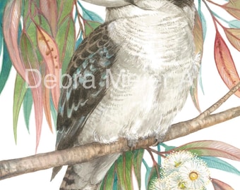 Kookaburra by Debra Meier Art,  Native bird watercolour, Australian bird print, Gumleaves print, Artwork gift
