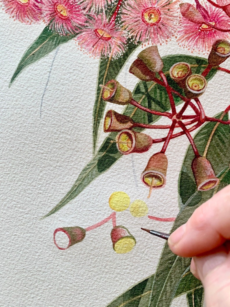 May include: A close-up of a watercolour painting of a eucalyptus branch with pink flowers and yellow buds. A hand is holding a paintbrush and adding details to the painting.