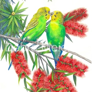 Print paars grasparkiet door Debra Meier Art, Australische inheemse vogelprint, print rode flessenborstels, kunstwerk cadeau