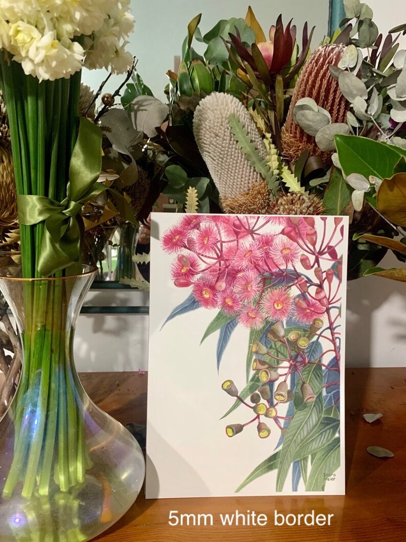 May include: A botanical illustration of pink and white flowers with green leaves on a white background. The illustration has a 5mm white border.