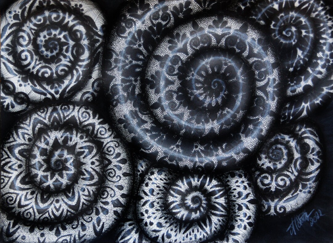 Fossil, Snail, Shells, Pattern, Zentangle, Centered, Charcoal, C@c@, - Etsy