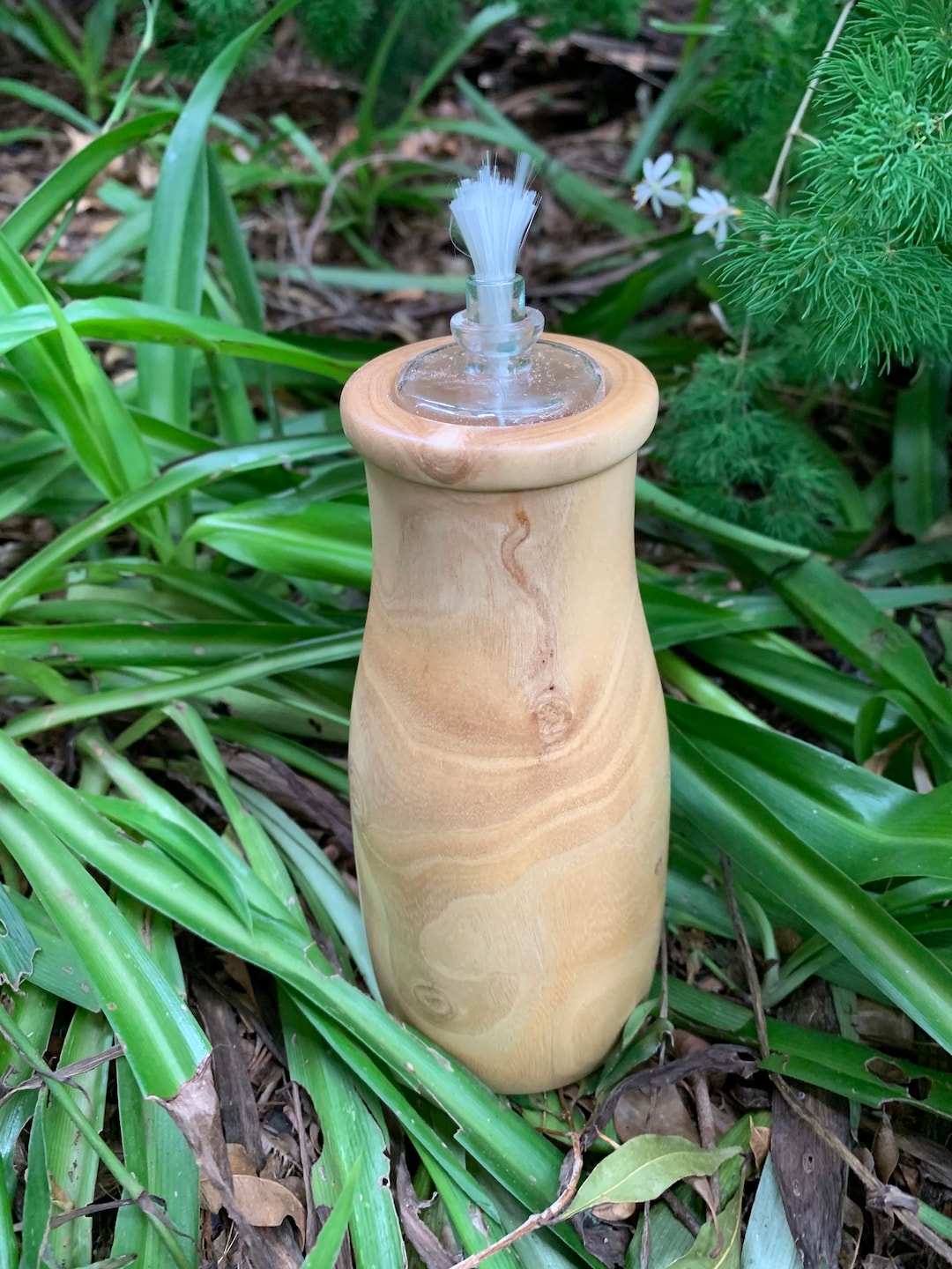 Oil Lamp Holder, Queensland Mountain Tree Etsy