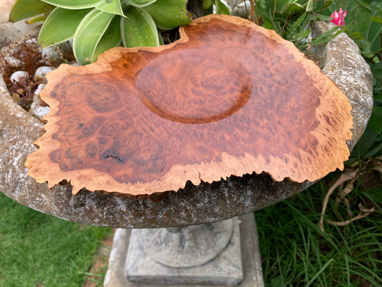 Small Platter, Red Mallee Burl, Australian Timber, Handmade, Unique