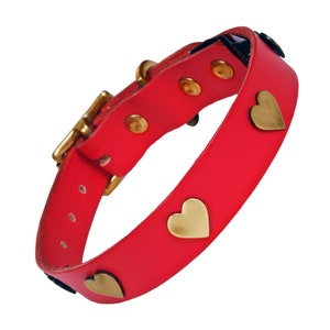 Leather Dog Collar with Brass Heart studs - various colours