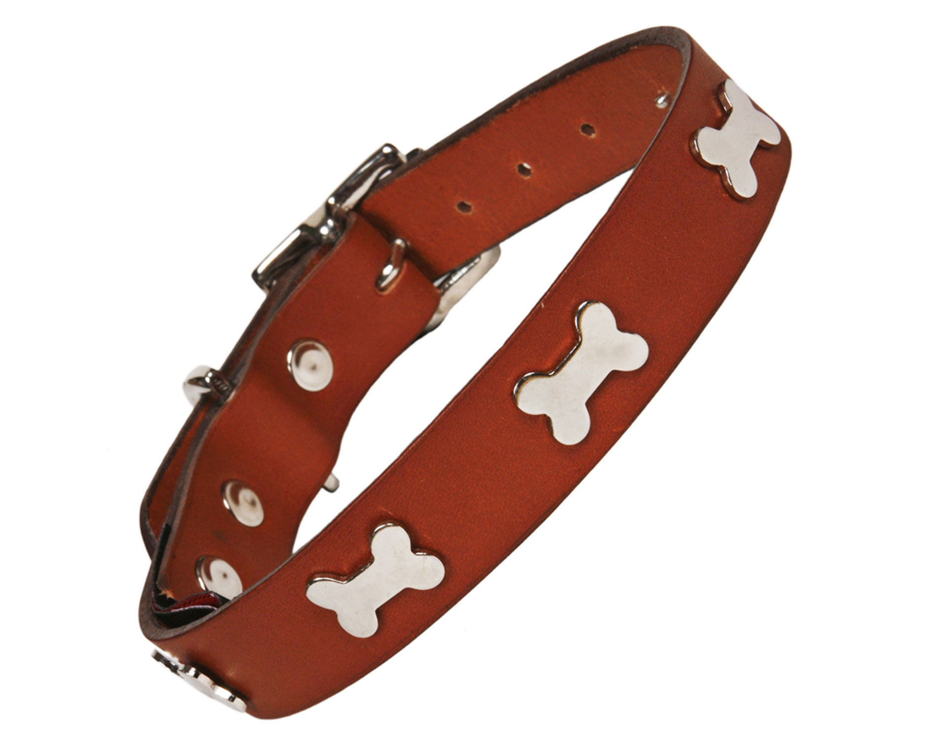 dog and bone collars