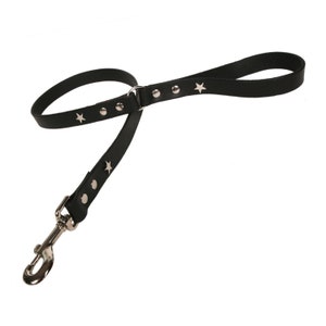 Leather Dog lead with Silver STAR studs - various colours
