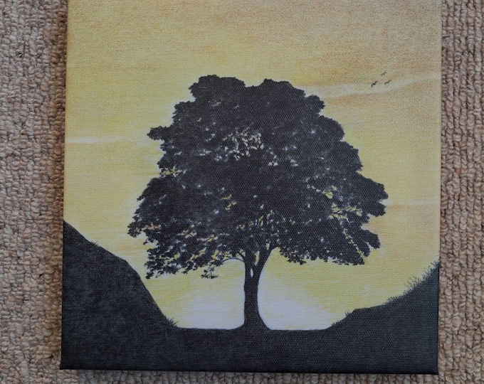 Sycamore Gap Canvas Drawing