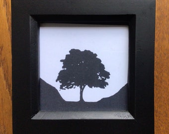Sycamore Gap, Hadrian’s Wall