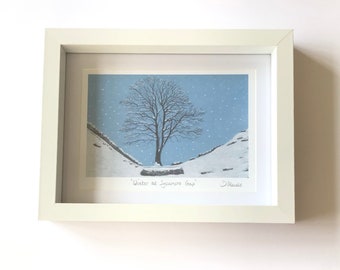 Sycamore Gap in Winter