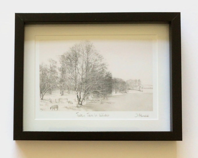 Talkin Tarn in Winter