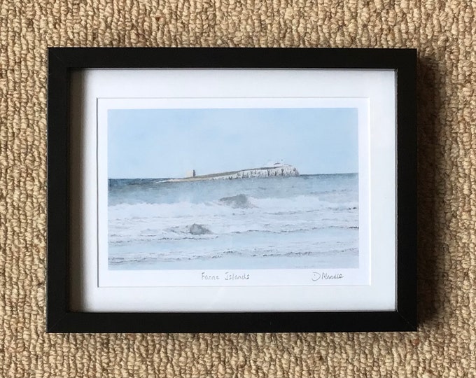 Farne Islands, Northumberland