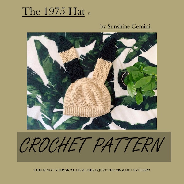 Sincerity is Scary Hat - Crochet Pattern - NOT A PHYSICAL ITEM