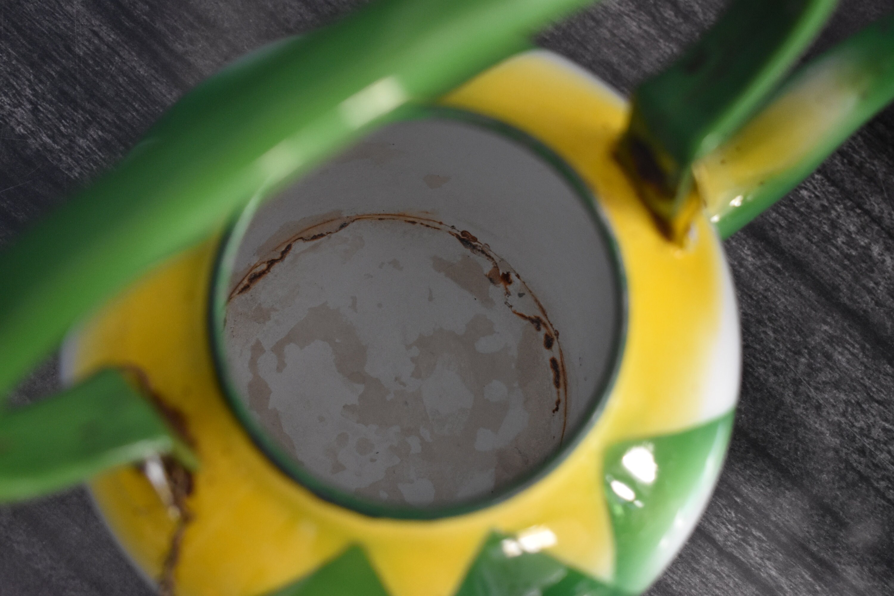 Vintage Enamel Teapot Made in Yugoslavia by Emo Celje / Medium Etsy