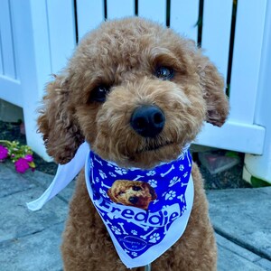 Personalized Dog Bandana: Custom Photo, Soft Polyester