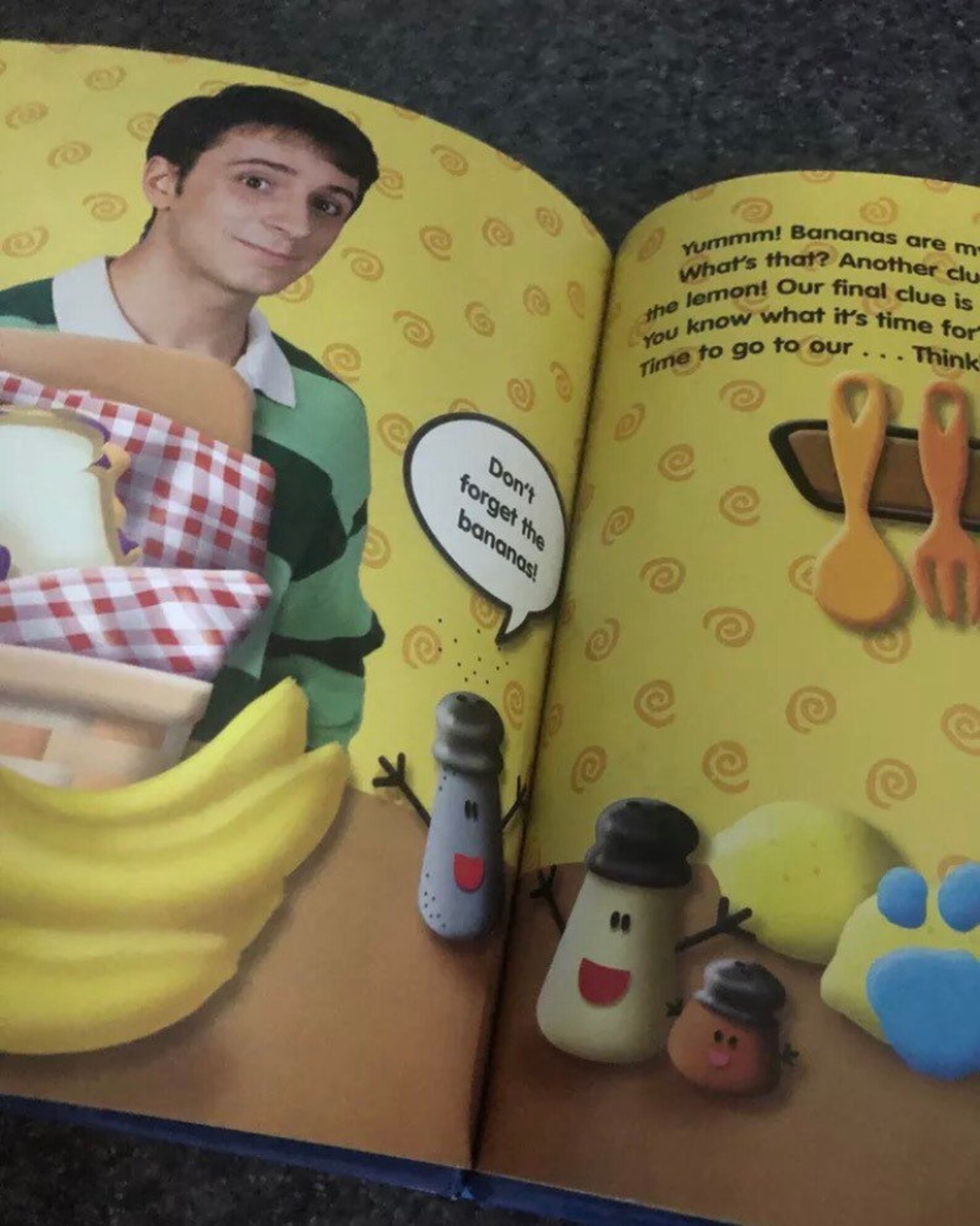 Vintage Blues Clues Hardcover Book A Picnic With Blue Featuring Steve