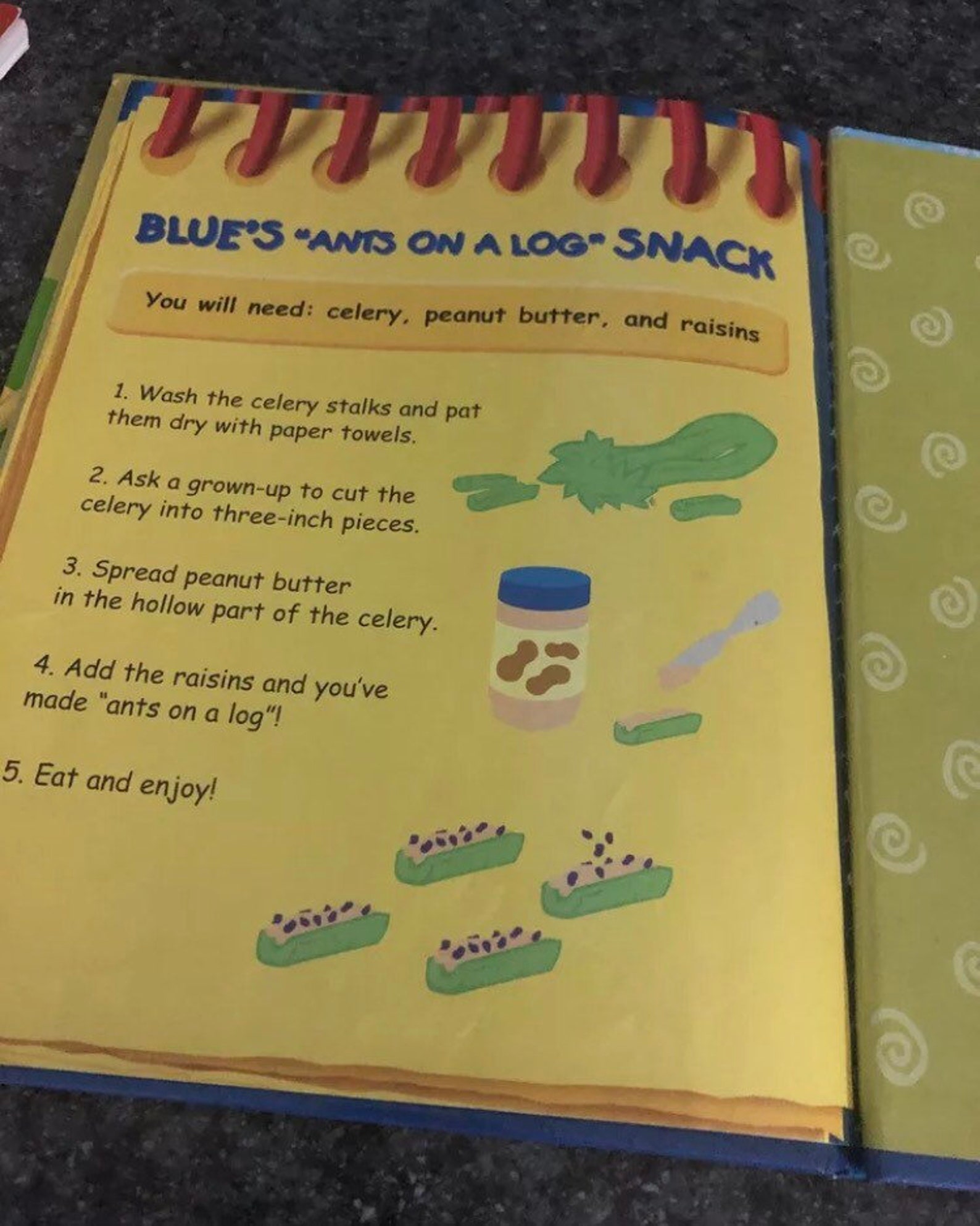 Blues Clues Hardcover Book A Picnic With Blue Featuring Steve Etsy