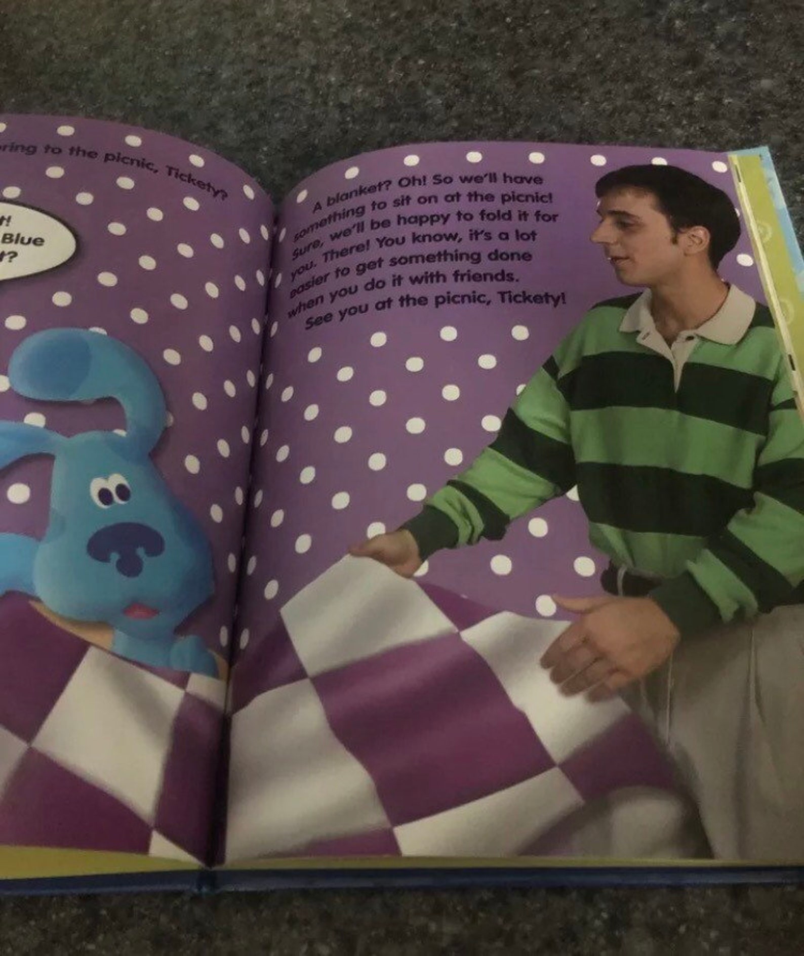 Vintage Blues Clues Hardcover Book A Picnic With Blue Featuring Steve
