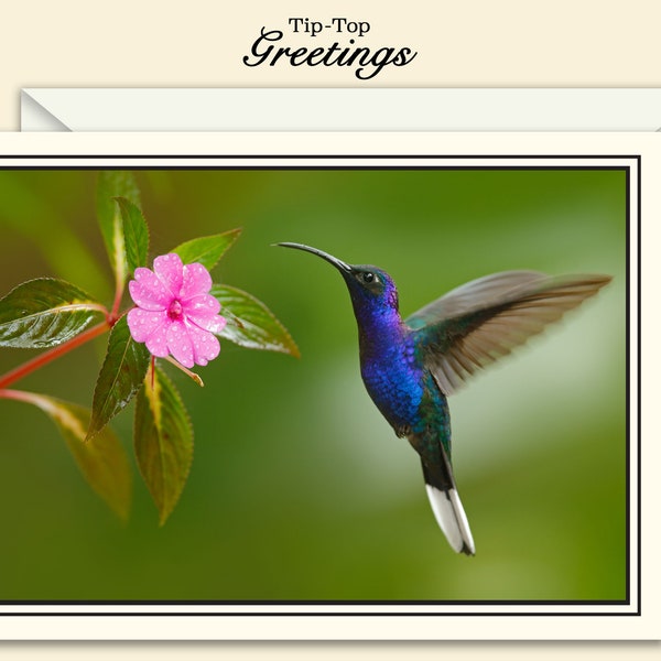 Humming Bird Handmade Notecards with High Quality Original Photograph - Custom Invitations, Personal Greetings, or Blank Inside