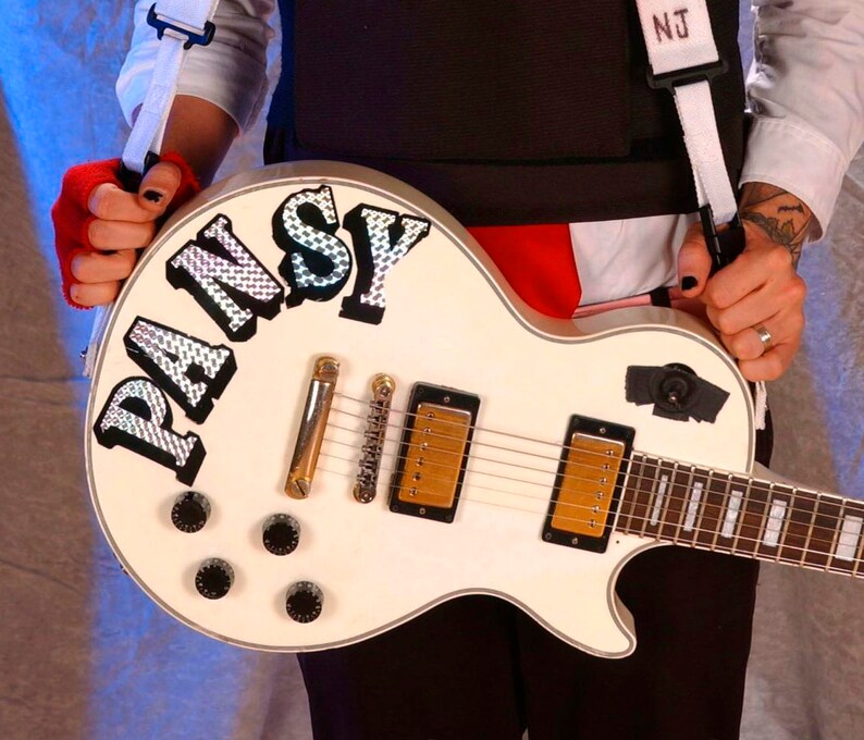 Frank Iero guitar stickers PANSY vinyl decal holographic My Etsy