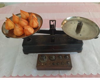 Balanza doméstica antigua con bandejas