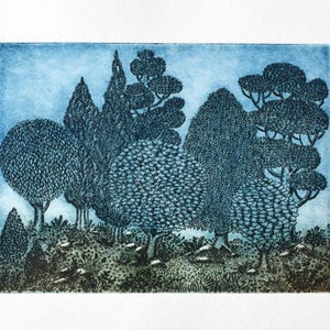 Foresta, Acquaforte originale, Paesaggio, Arte murale, Stampa in edizione limitata, Incisione, Arazzo, Acquaforte stampata a mano