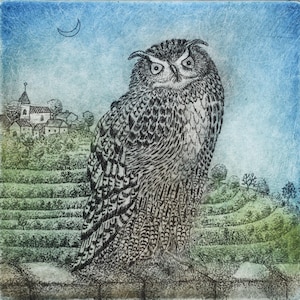 Amerikanischer Uhu, handgedruckte Originalradierung, limitierte Auflage, Gravur, Wandbehang, Vogelkunst, Wandkunst, Hoot Owl, Tiger Owl