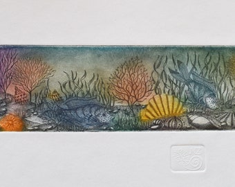 Seabed Cornucopia, Original Etching, Wall Art, Marine Art, Ocean Life, Colour Engraving, Wall Hanging, Fish Lover's Gift