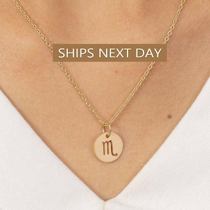 Scorpio Zodiac Sign Necklace, Scorpio Symbol Pendant, Scorpio Necklace, Star Sign Gift, Birthday Present, Astrology Necklace