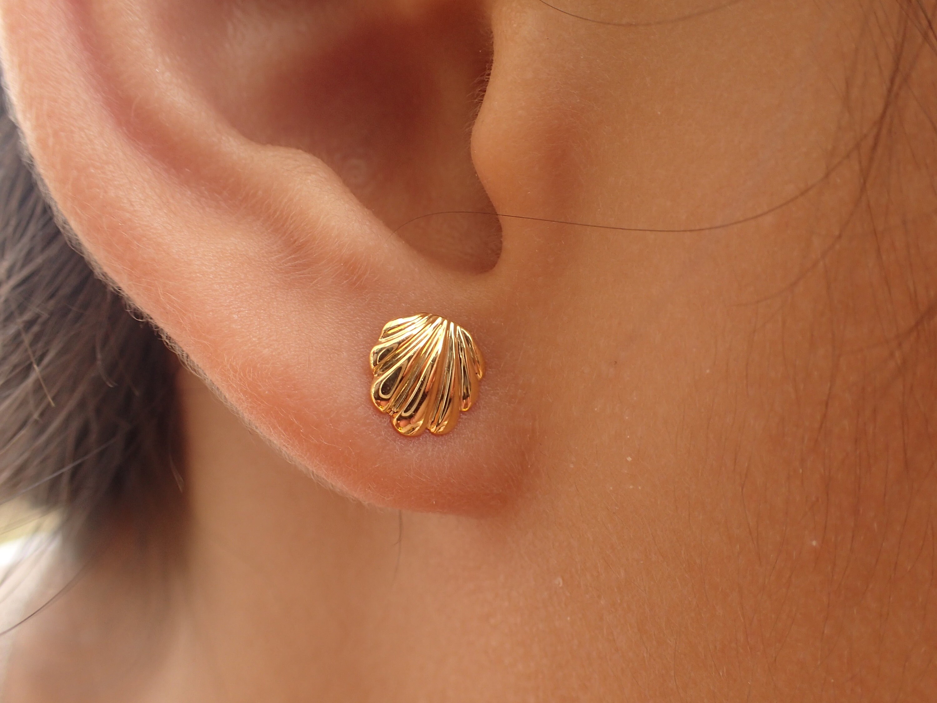Tiny Clam Earrings Seashell Stud Earrings 14k Solid Gold 2 Shell