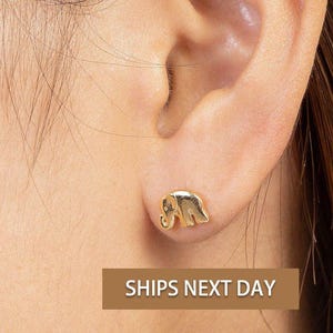 Rüssel Elefant Ohrstecker, Elefant Ohrringe, kleine Elefant Ohrstecker, Minimalistische Ohrringe für Frauen